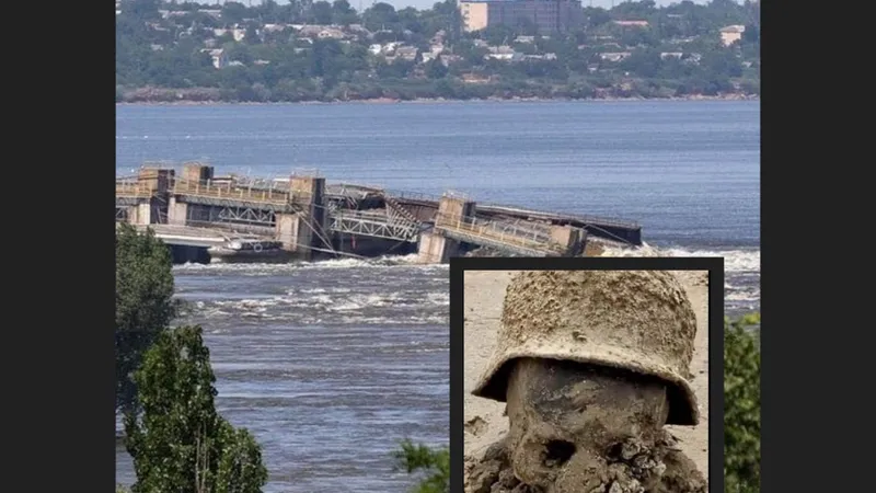 Cranii scoase la iveală după ruperea barajului ucrainean - Foto: Twitter