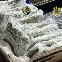 Droguri în bagaje - Foto: Poliția-DIICOT-Poliția de Frontieră