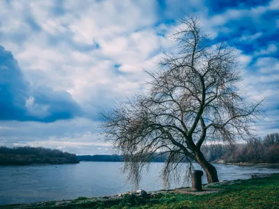 Fluviul Dunărea - Foto: Pexels (rol ilustrativ)