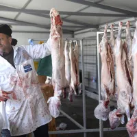 Crescătorii de ovine: Preţul corect la carnea de miel de Paște, 45-50 lei/kg la producător. - Foto: Inquam Photos / Alex Nicodim