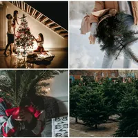 Ce să faci cu bradul de Crăciun după sărbători: 7 idei practice pentru reutilizarea bradului natural: FOTO - Pexels(imagine cu rol ilustrativ)