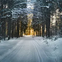 În ce zone din România va ninge în următoarele ore? Ploile cuprind restul țării. Foto: pexels.com / imagine cu rol ilustrativ