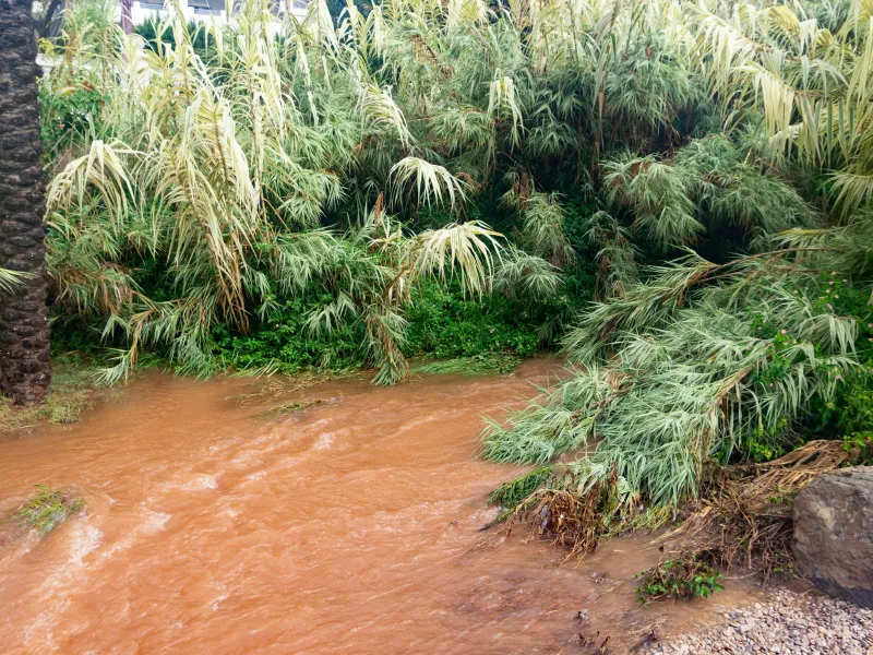 Avertizare de călătorie pentru românii care merg în Spania. Sunt anunțate precipitații puternice Foto: Profimedia Images (fotografie cu caracter ilustrativ)