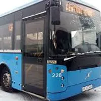 Șapte adolescenți au bătut un șofer de autobuz/Foto: bihon.ro