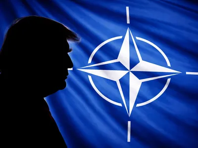Trump NATO - Foto: Profimedia images