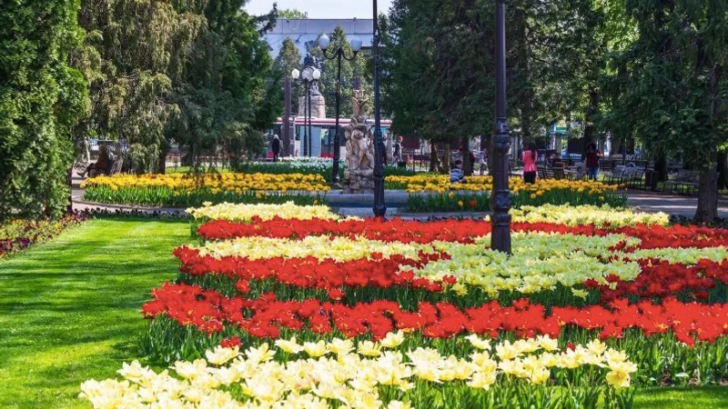 Iaişul, Braşovul sau Târgovişte? Care va fi orașul votat "Destinația anului 2022"/FOTO: ziaruldeiasi.ro