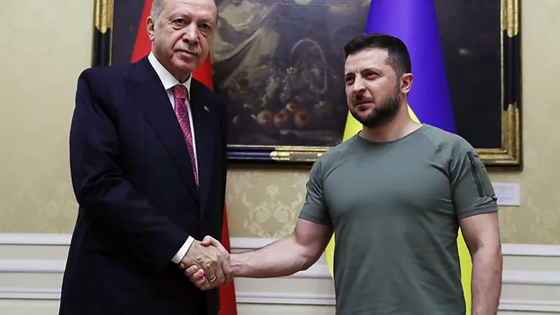Erdogan și Zelenski la Lvov, 18 august/foto: Profimedia Images