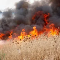Incendiu puternic. Trafic feroviar afectat în Dobrogea, dincolo de Medgidia. Trenurile sunt oprite - Foto: gds.ro (imagine cu caracter ilustrativ)