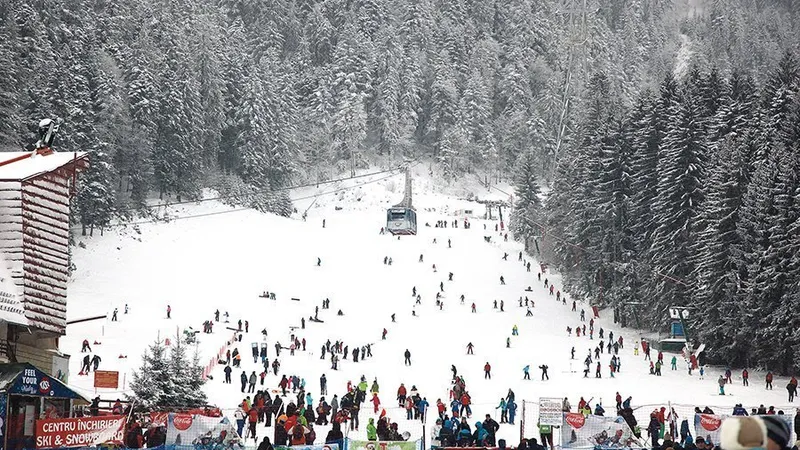 Noi pârtii de schi, pretext pentru tăierea pădurilor