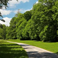 Ce riscă persoanele care beau bere în parc. Cele prins au încercat să conteste amenda în instanță Foto: Profimedia Images (fotografie cu caracter ilustrativ)