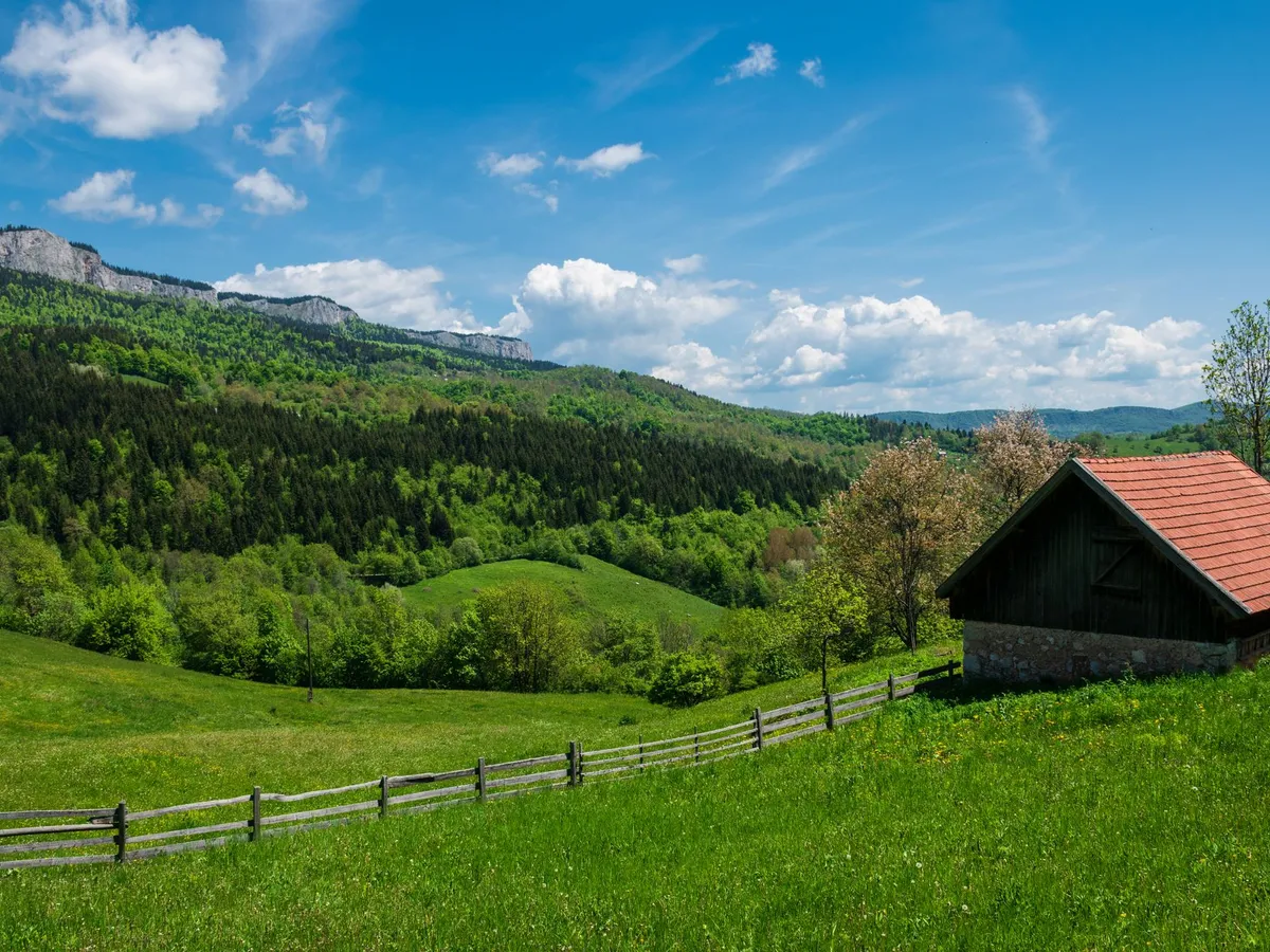 Teren Foto: Pexels (imagine cu rol ilustrativ)