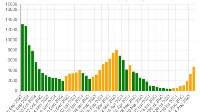 Cum a evoluat Covid -19 în România în ultimul an Foto: graphs.ro
