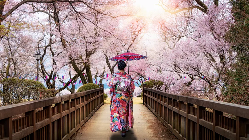Tokyo până la adânci bătrâneți - De Emiko Jean