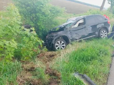 Accident frontal teribil, pe DN 15B, la Timişeşti. Un șofer de 78 de ani a murit. / Foto: Info Trafic 24, Facebook