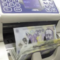 Partidele politice au încasat 17 milioane de lei în iulie de la stat. / Foto: Inquam Photos / Octav Ganea
