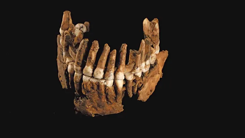 CONTESTAREA ISTORIEI Studiile asupra lui Thorin, găsit într-o peșteră din Valea Rhône-ului din Franța (sus), arată că cel puțin două populații de Neanderthal erau prezente la acea vreme