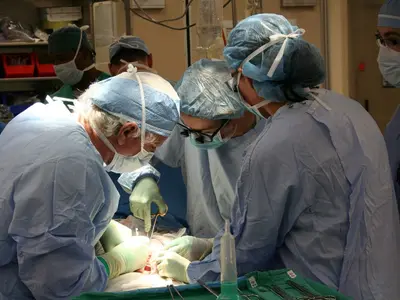 Apel către Guvern pentru demararea Centrului de transplant multiorgan/foto: viata medicala