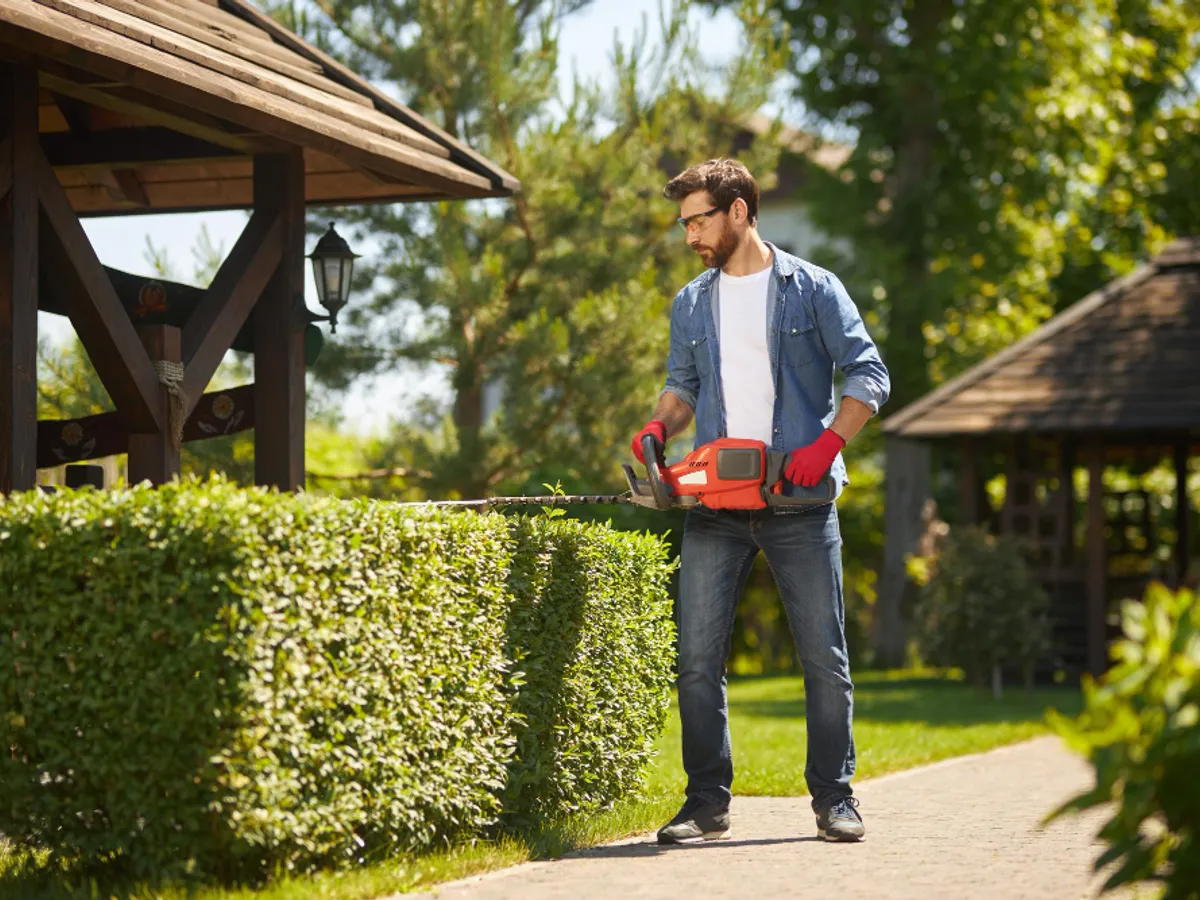 Amendă de 100.000 € dacă nu tai bine gardul viu în luna Martie. Unde se aplică și care e motivul?