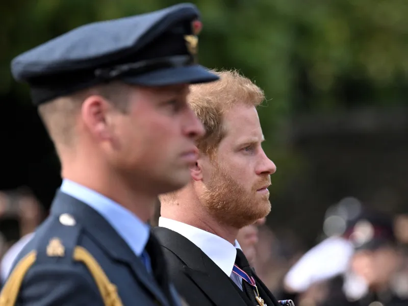 Harry mărturisește că William l-a bătut/Foto: Profimedia Images