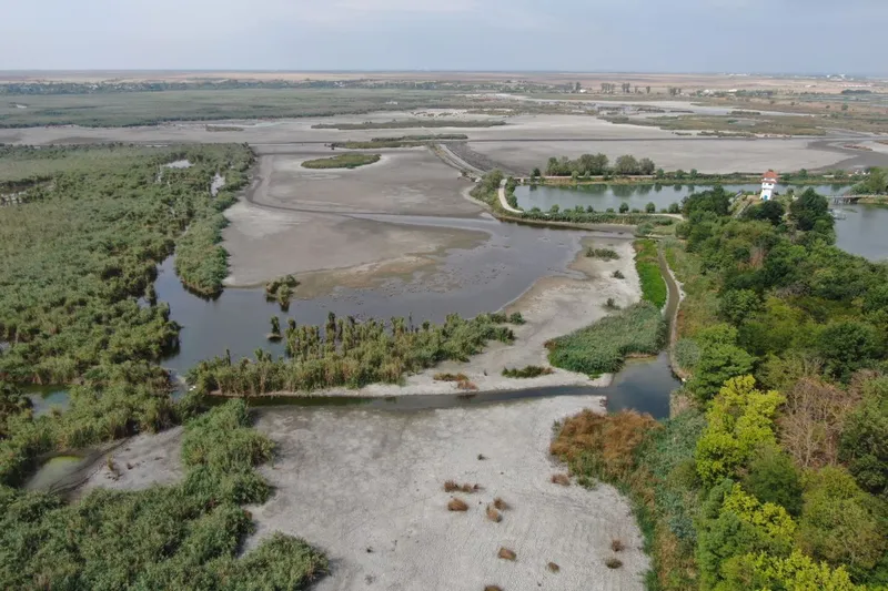 Secetă la Comana, &icirc;n Delta Neajlovului, &icirc;n judeţul Giurgiu - Foto: INQUAM PHOTOS/George Călin
