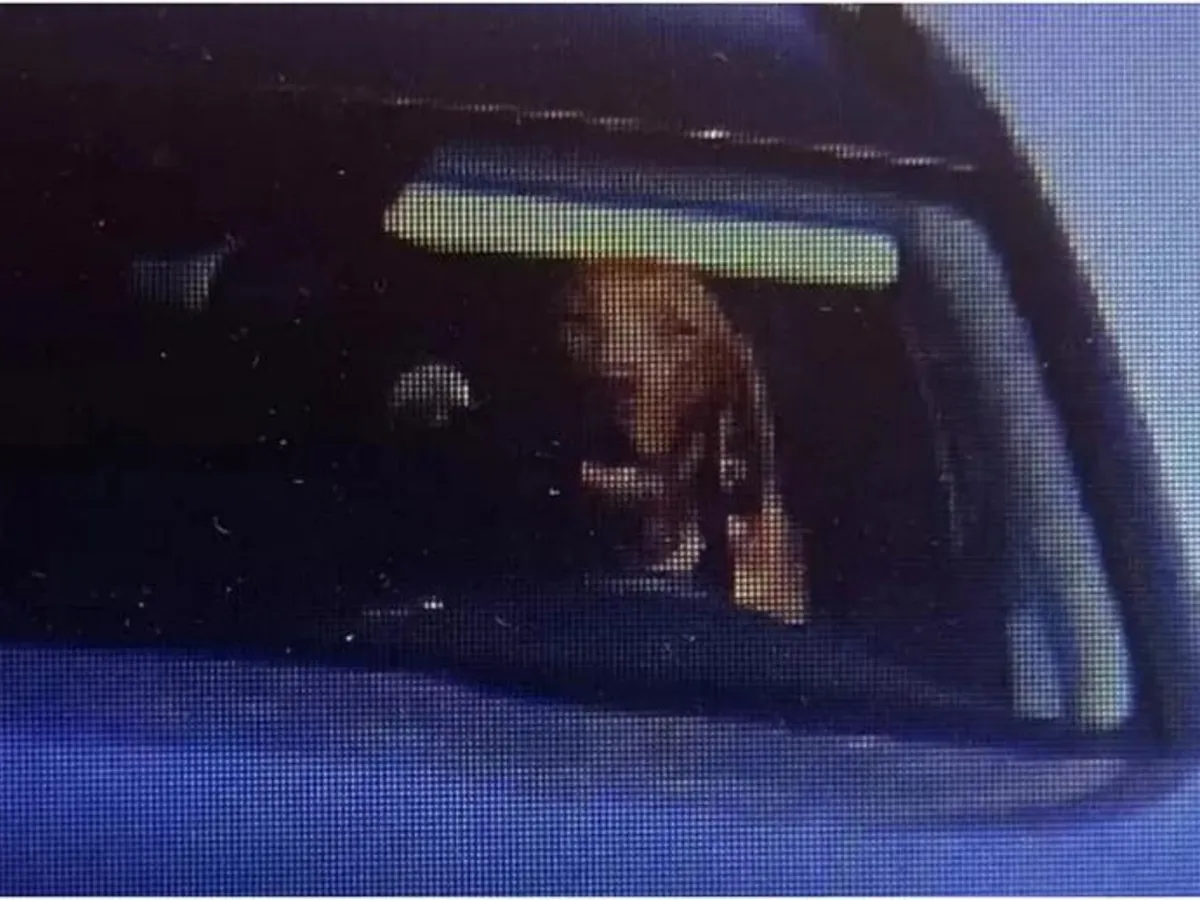 Câine surprins la volan de o cameră de vizetă. Cum a ajuns acesta „șofer” și ce spune proprietarul - Foto: BBC