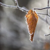 Vremea a trecut de la vară blândă la toamnă aspră. Șocul termic ne influențează puternic Foto: Freepik (fotografie cu caracter ilustartiv)