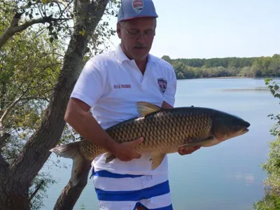 Dragnea la pescuit Foto: Facebook