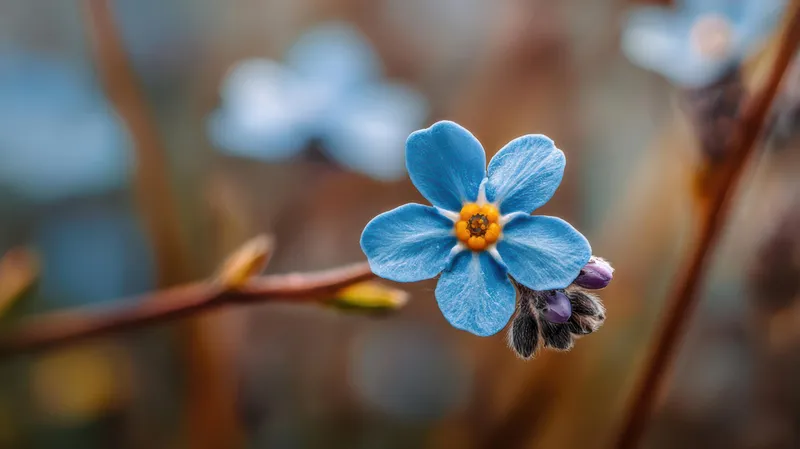 Floare albastră - Foto: Magnific.com (Imagine cu rol ilustrativ)