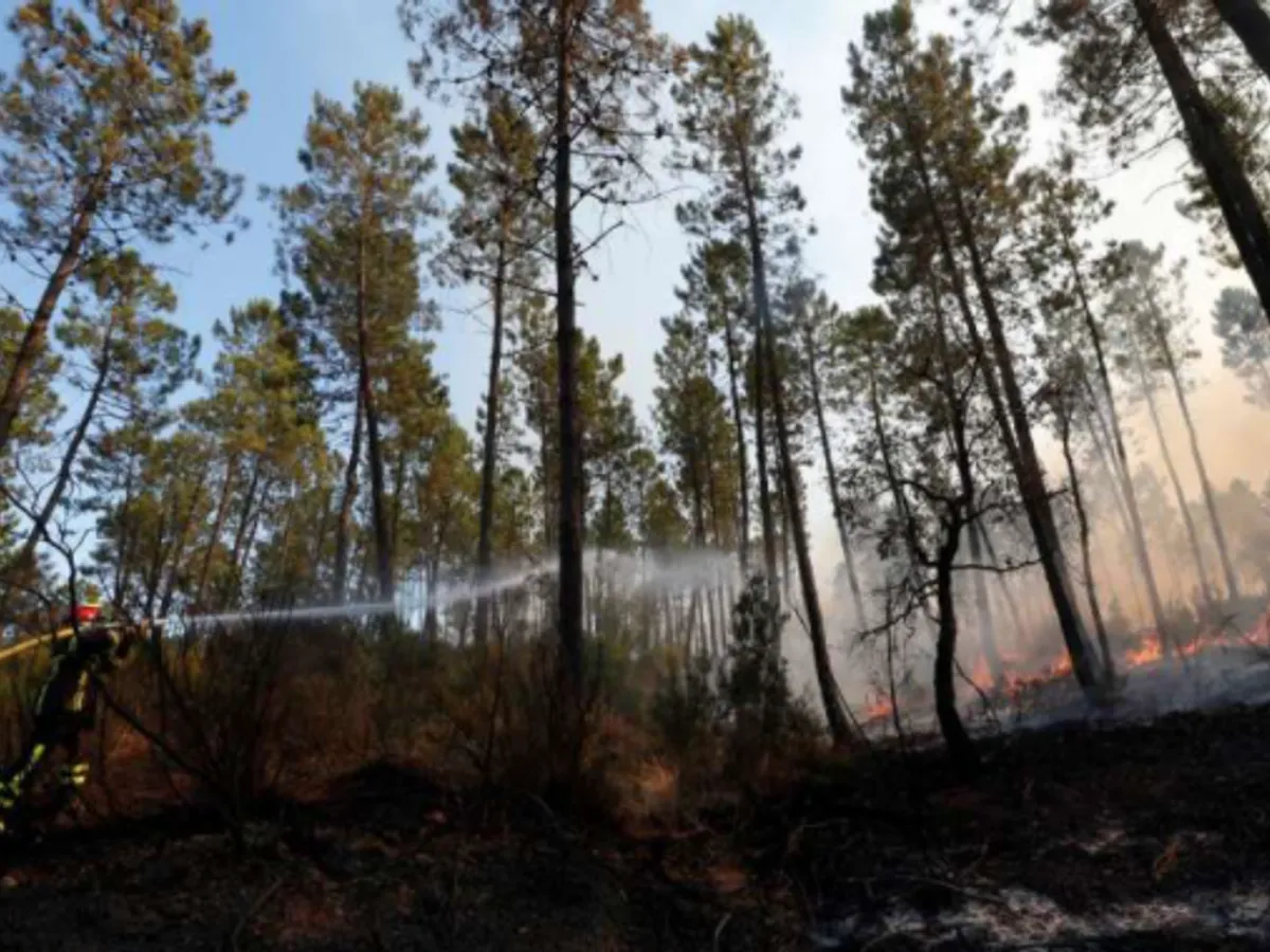 Incendiul de pe Coasta de Azur nu este sub control, pompierii avertizează că vântul se intensifică/FOTO: Agerpres