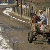 Băcăuan arestat după ce a fost filmat în timp ce târa un animal mort agățat de căruță - FOTO: Profimedia Images - Caracter ilustrativ