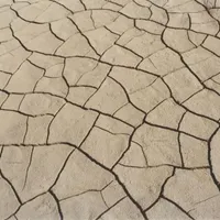 Schimbările climatice schimbă și obiceiurile fermierilor - Foto: Wikipedia/Stefan Kühn/CC BY-SA 3.0