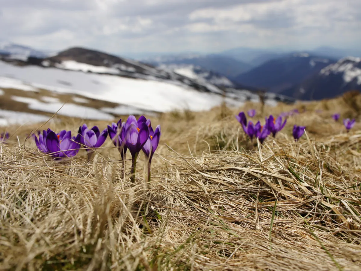 Weekend cu temperaturi de primăvară în toată țara/FOTO: yogascapes.com