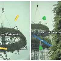 Nicuşor Dan se laudă cu instalarea unui brad de 30 metri în Piața Constituției:„Cel mai spectaculos” - Foto: Captură de ecran/ Facebook/ Nicușor Dan