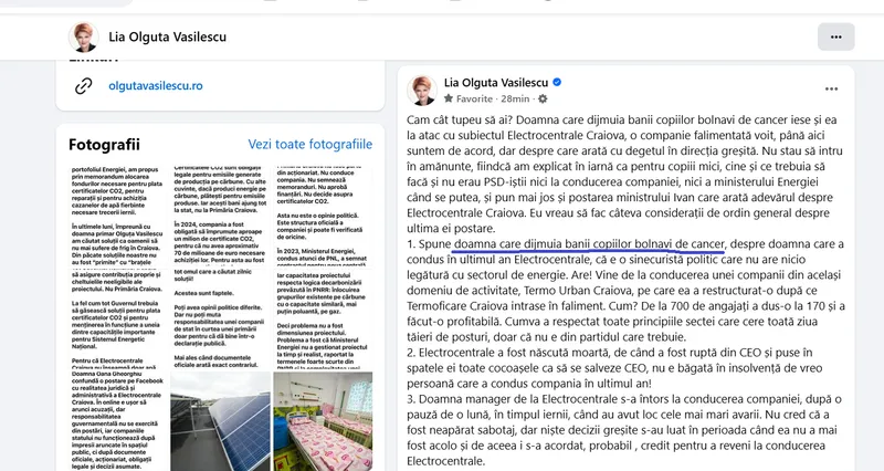 Postare Olguța Vasilescu - Foto: Fb