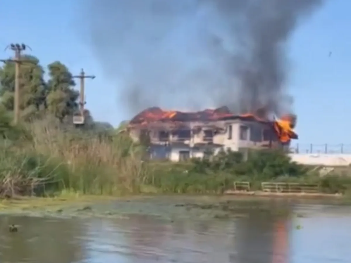 Vila de vacanță din Deltă a fostului lider PSD Miron Mitrea, distrusă. I-a dat foc un angajat - Foto: captură video