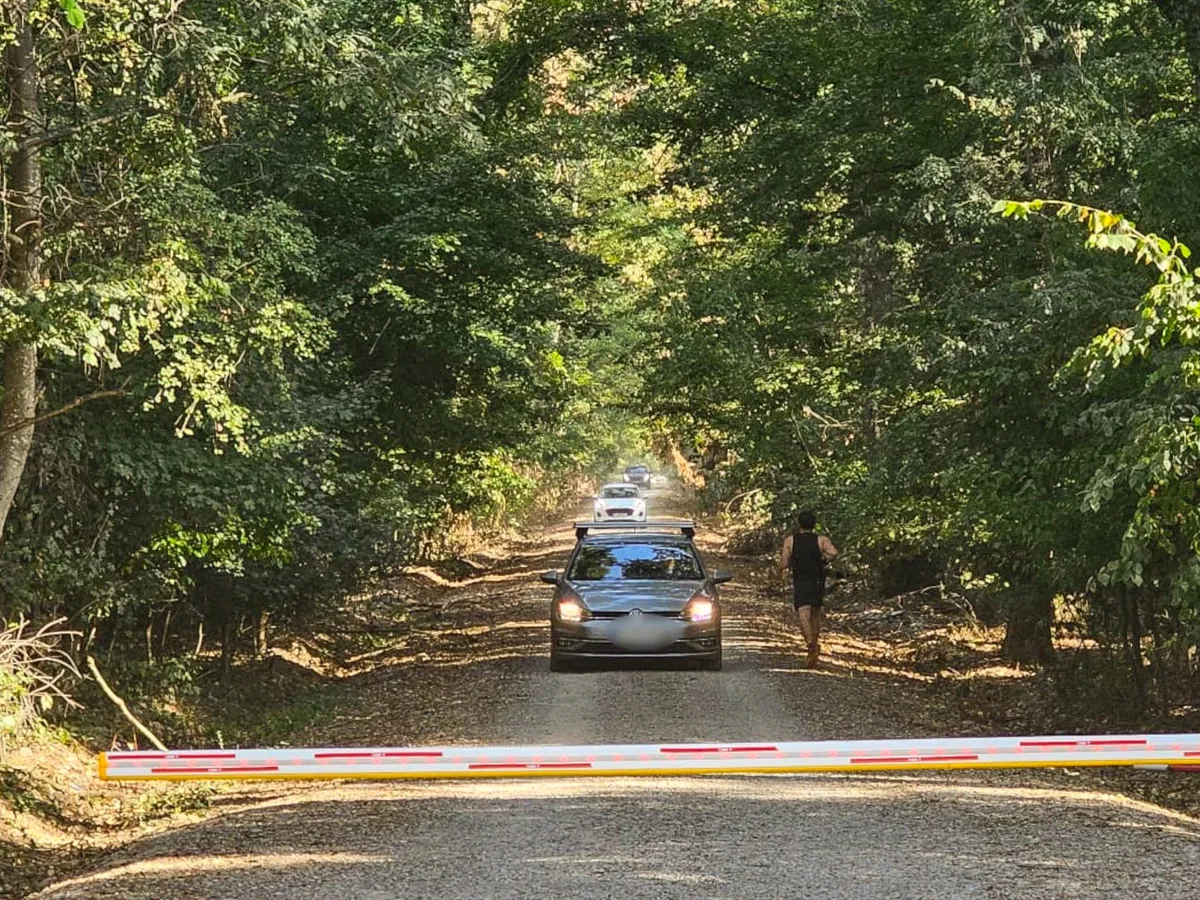 Drumul forestier din Pădurea Băneasa - Foto: Platforma Civică Împreună pentru Centura Verde