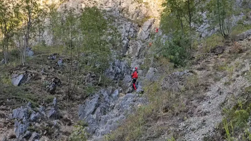 Misiune grea pentru Salvamont. O femeie a suferit un accident vascular cerebral, pe un traseu montan - Foto: Facebook / Salvamont Romania-Dispeceratul National Salvamont