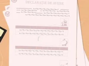 Declaratie de avere Foto: Captură video