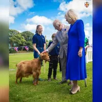 O capră a primit titlul regal. Chiar regele Charles i-a acordat onorul animalului spălat cu șampon foto: Facebook Guernsey Press