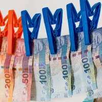 Ecoferme de afin, fraudă cu fonduri europene. DNA tocmai a trimis în judecată dosarul - Foto: PXHere
