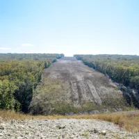 Pădure defrișată (imagine cu caracter ilustrativ) - Foto: Profimedia Images