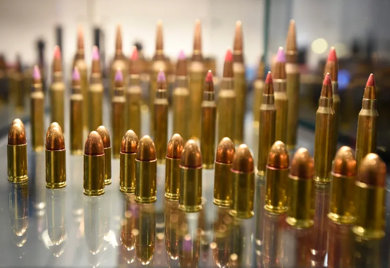 Muniția SAFE prezentată la Asociației Canadiene a Industriilor de Apărare și Securitate - Foto: Profimedia Images