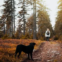 Vreme de primăvară (rol ilustrativ) - Foto: Pexels