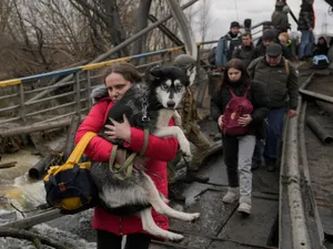 Ucrainenii fug din bătaia bombelor lui Putin și își salvează și prietenii necuvântători. /Foto: abc7chicago.com