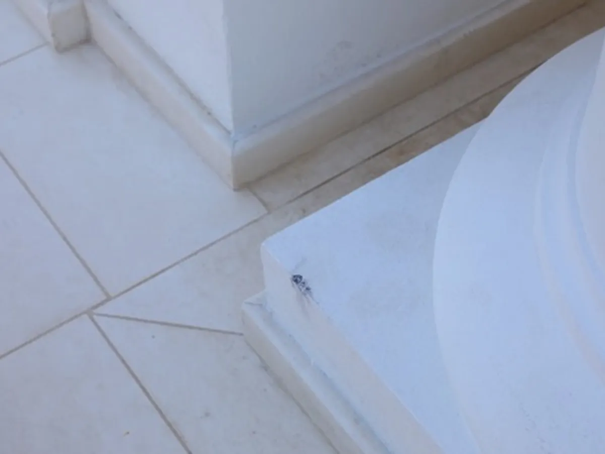 Cazinoul din Constanţa, vandalizat -Foto: News.ro.