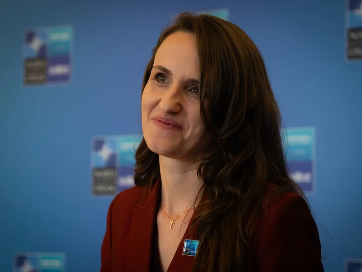 Oana Țoiu: Armata și NATO vor monitoriza frontierele României, Dunărea și Marea Neagră