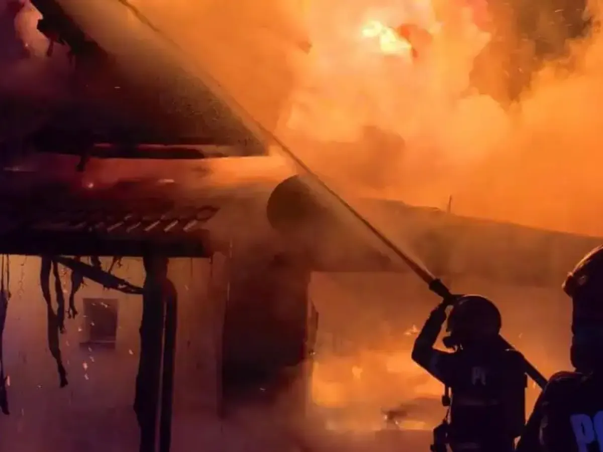 VIDEO 100 de canari, bani și o mașină au ars într-un incendiu care a mistuit o vilă