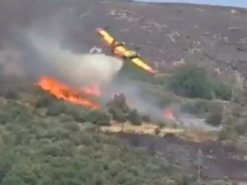 Momentul prăbușirii unui avion care stingea incendiile din Grecia - Foto: twitter/ @301military