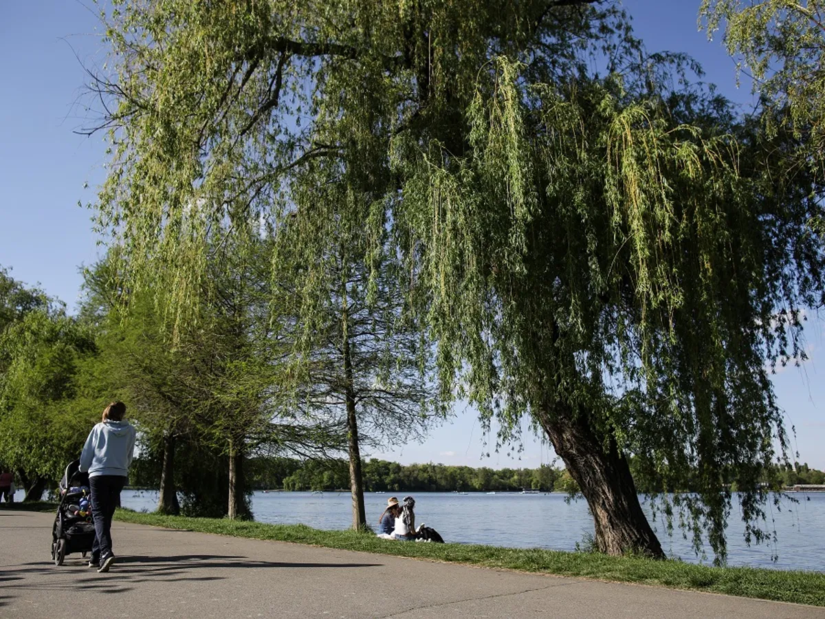 Descoperire macabră în lacul Herăstrău - Foto: INQUAM Photos/Octav Ganea - cu rol ilustrativ