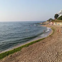 Trei mii de tone de alge şi deşeuri au fost colectate de la începutul lunii iulie de pe plaje/FOTO: Facebook/Costinești
